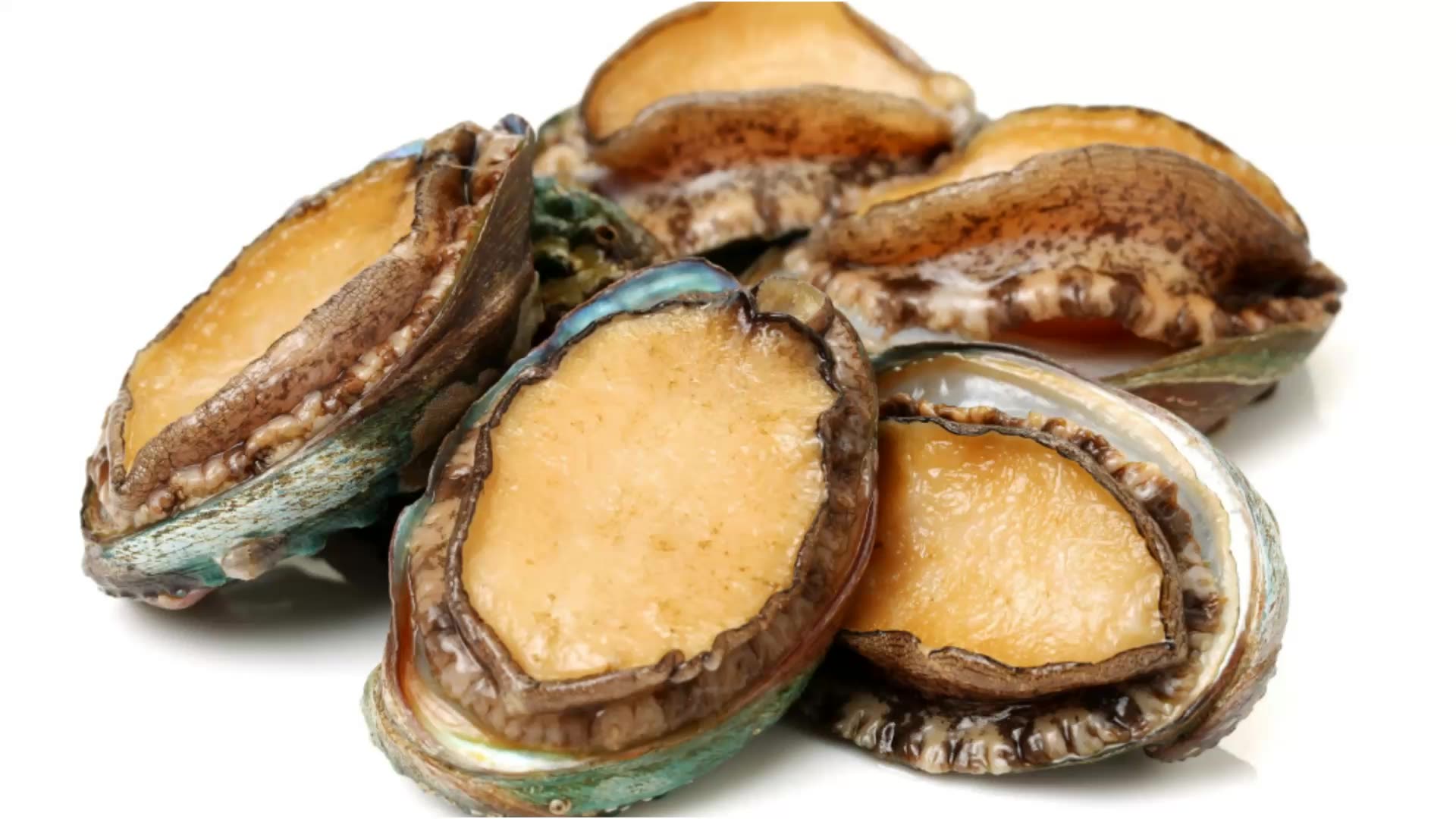 abalone canned bulk abalone canned food dry abalone for sale