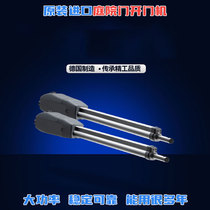 German Sommer sommer wrought iron door flat door double door motor open door courtyard door opener high power