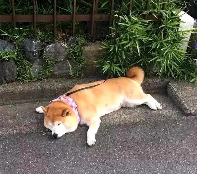 趣值买