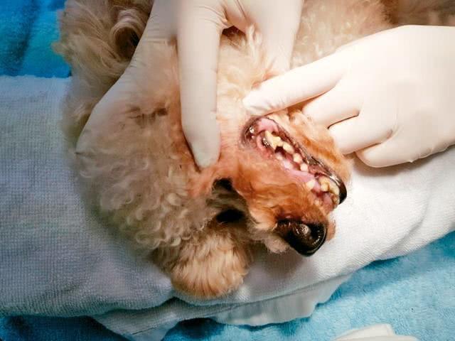 趣值买