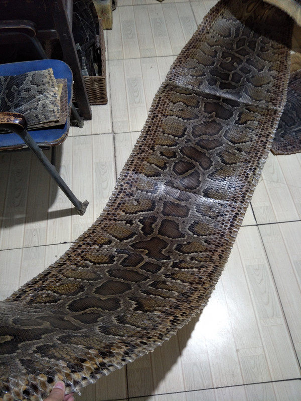 二胡蒙皮 二胡蟒皮 二胡蟒蛇皮 中胡 高胡 三弦 扎木聂蟒蛇皮_7折现价