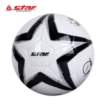 Shida Star waterproof non-slip wear-resistant adult student competition training hand sewing No. 5 PU football SB465