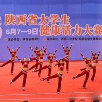 Professional custom aerobics La La exercise stage performance suit Gymnastics cheerleading suit Competitive aerobics suit