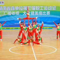 (Custom)mass aerobics competition suit Custom competitive aerobics clothing La La exercise competition suit performance suit