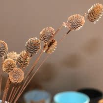 Small pine flower small pine fruit natural dry fruit dried flower decorative flower eternal flower natural pine cone retro shooting props