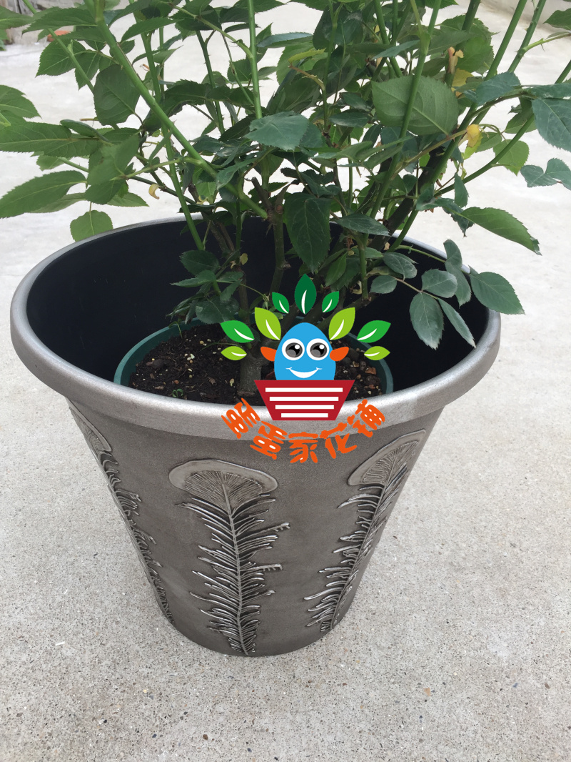 Foreign trade 15 inch old peacock feather basin imitation copper basin high-grade flower pot decorative basin simulation flower pot