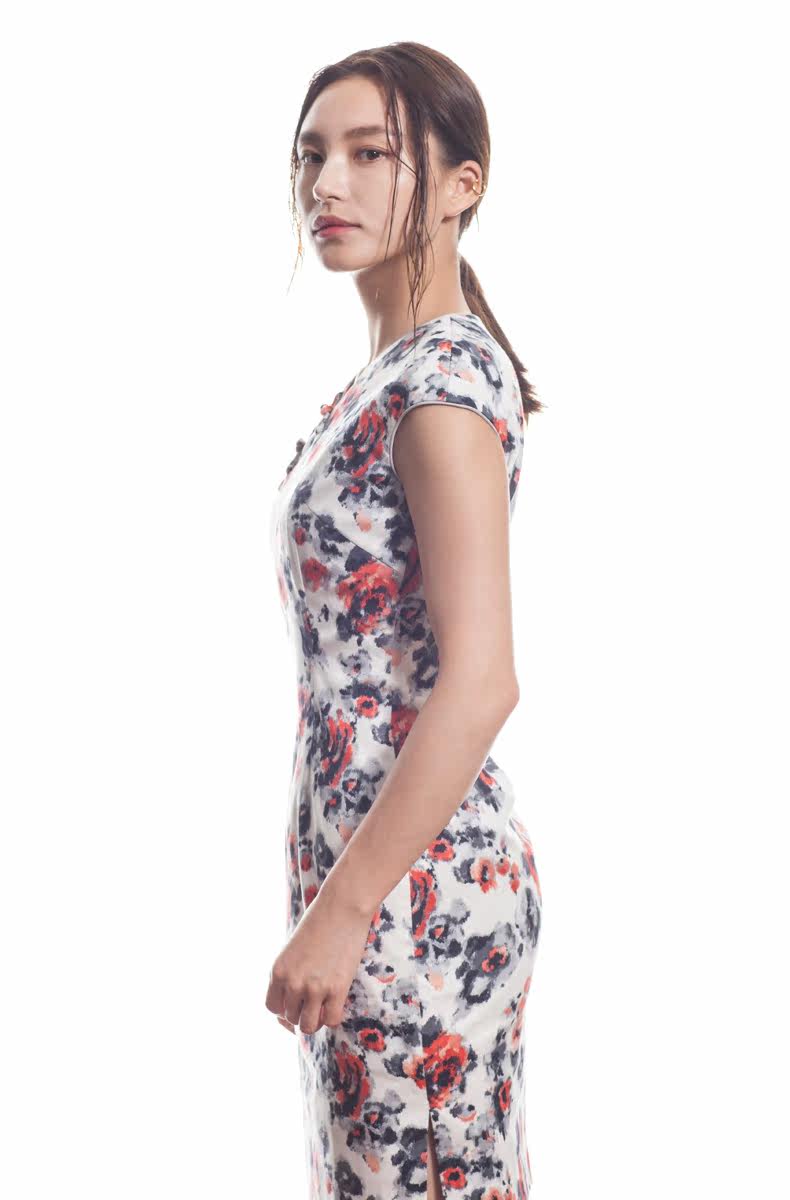 花笙记民族复古中国风繁花v领无袖旗袍之诗女装印花连衣裙新品