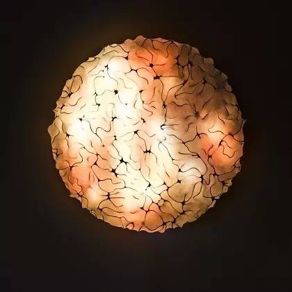 有种设计叫仿生设计