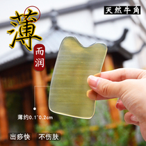 Natural scalper horn scraping plate open the back face chin lymph thighs thin section out of the throat through the meridian