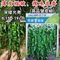 1000 pieces of Oulandouli wrinkled pepper thin-skinned spicy black and green small wrinkled pepper pepper wrinkled pepper
