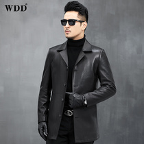 Deer leather jacket mens Haining leather suit collar middle-aged leather jacket windbreaker spring thin coat