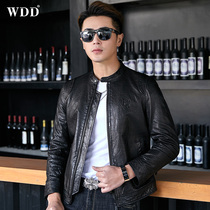 Leather leather clothing mens short collar Korean version of slim handsome locomotive clothing Haining sheep jacket thin coat tide