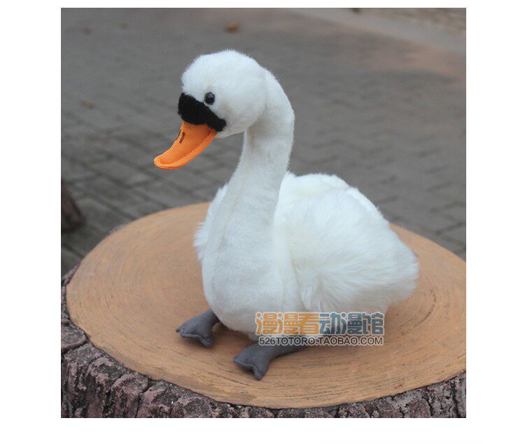 pp_21.jpg