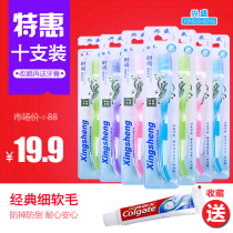 Xingsheng soft toothbrush 10 adults send toothpaste 40 grams super family clothing 720A-1 couple fine silk hair