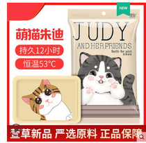 Daylilies cartoon warm baby stickers Female palace cold conditioning stickers Warm stickers Warm stickers Self-heating warm stickers Palace warm stickers hot stickers