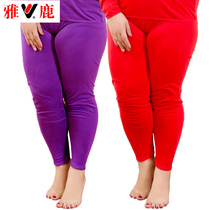 Yalu large autumn pants women wear fat girl 200 Jin plus fat increase cotton warm pants winter 2020 New