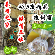 Jilin Ji 'an farmhouse produces wild locust honey wild locust honey locust tree honey 500g 42 5 degrees