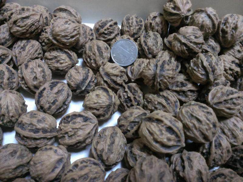 21野生小麻核桃鬼见愁怪异型枣核秋子爆肉八棱精品手串散籽批发