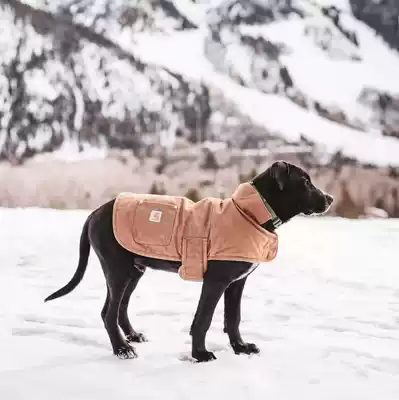 Carhartt Dog Chore Coat kahart mainline pet debris Coat rain warm