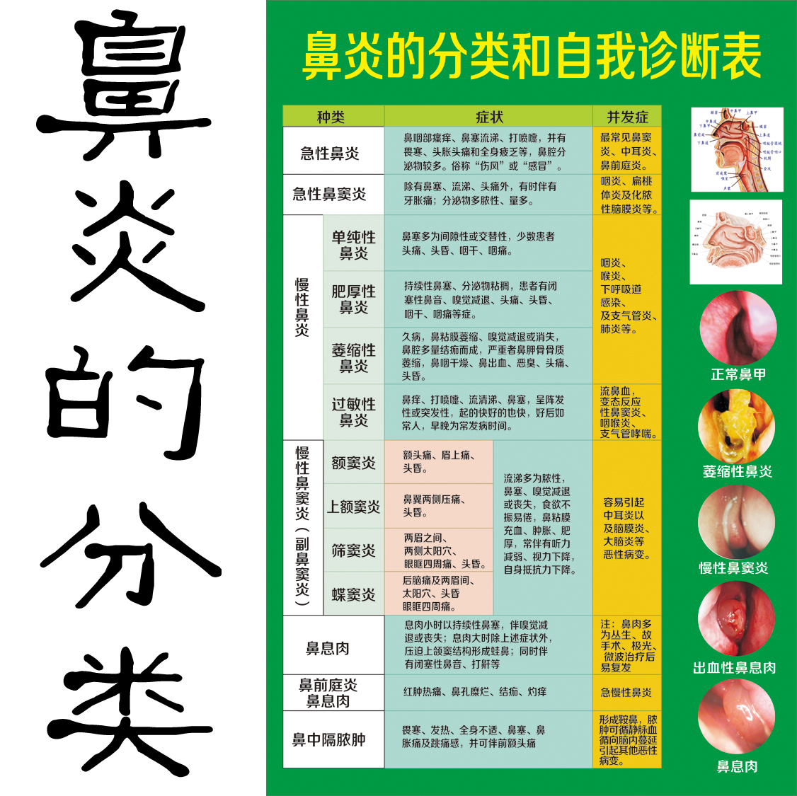 鹅不食草治疗鼻炎有效果吗(鹅不食草鼻窦炎有用吗)