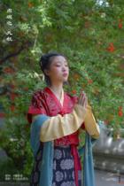 Zhengguan 13: Jiuqiu imitation Famen Temple Crimson Gold embroidered branch flower pair half-arm black Group flower skirt Hanfu