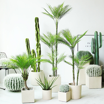 New Nordic wind simulation Sanwei anchovy tree fake green plant furnishings indoor window floor-to-ceiling decoration