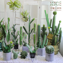Nordic simulation cactus ornaments Fairy column ball fake green plant clothing store store window decoration shooting props