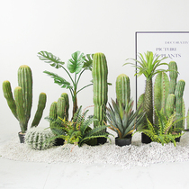 Norse style Moroccan cactus column design landscape green plant simulation cactus tropical desert plant landscaping decoration