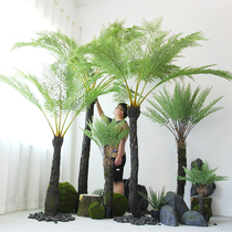 Simulation of Alsophila trees large-scale landing landscape green plants potted tropical desert rainforest decorative ferns