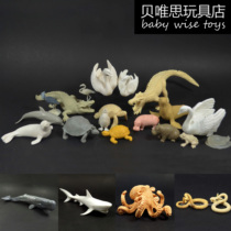 Single Sold Whale Shark Penguin Turtle Snakes Sealion Seal Hippo Germany Foreign Trade Bulk Simulation Marine Animal White Mold