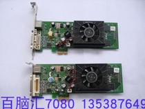 NVIDIA GF 8400GS 256M PCI-E 1X Dual Screen Graphics Card Sp # 464762-001