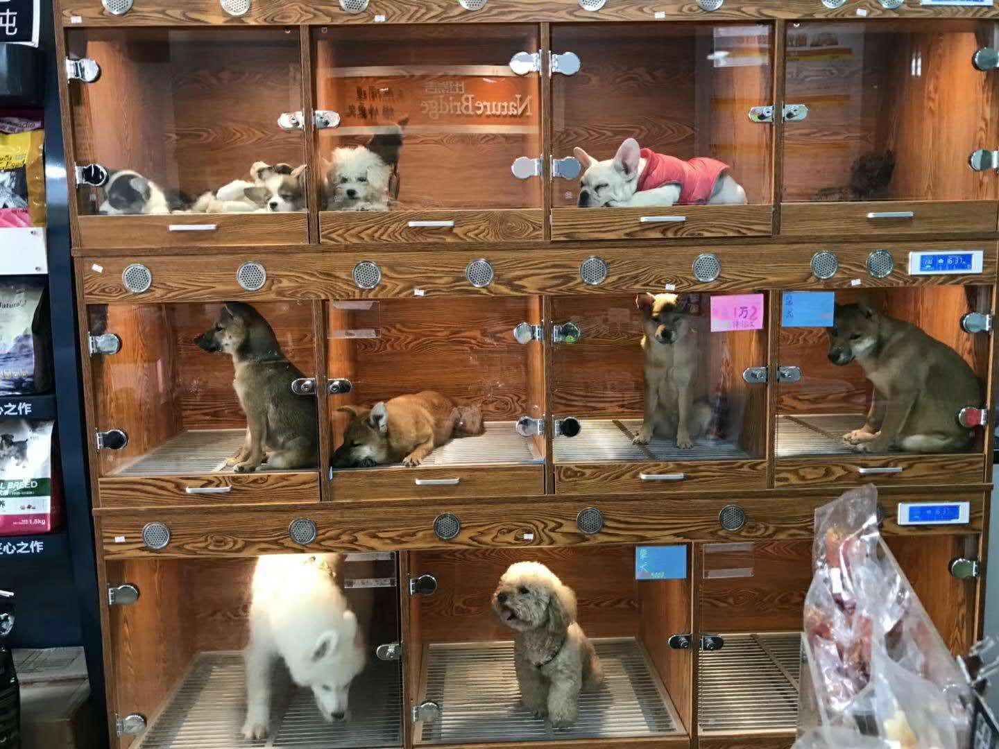 环保宠物笼恒温宠物笼宠物店宠物医院定制宠物柜展示柜