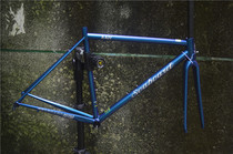 seaboard European and American style spinal canal road steel frame chameleon painting