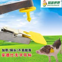 Andre ear label French original imported no word with word ear number plate pig cattle and sheep with identity Mark ear card