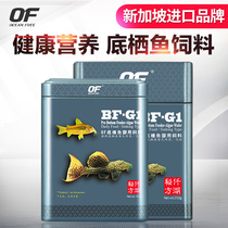 Qianhu OF arrogant alien fish benthic fish feed Queen feed scavenger sinking helicopter fish bottom