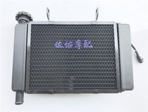 Little lion cub BJ250 water tank assembly radiator assembly small lion 250 fan cooling box