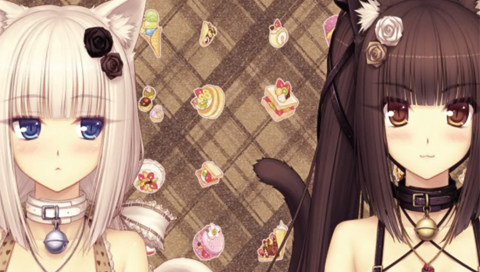 psp2000 psp3000机身贴纸/痛机贴膜/动漫 彩贴 neko works 双子猫