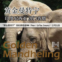 Indonesia Sumatra Gold Mantin Coffee Coffee Powder 19 mesh large particles acid-free 227g