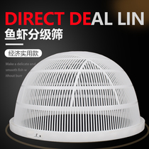 Fish fry size graded fish screen fresh plastic lobster sifted yellow bone fish sifted non-crucian fish sieve yellow eel loach screen