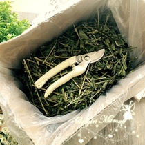 (Small PET FORAGE)24 provinces dried alfalfa cut grass section 500G 21-year-old new grass