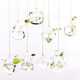 Creative hanging transparent glass vase small hanging bottle hydroponic flower indoor gardening home decoration bottle plant set Creative hanging transparent glass vase small hanging bottle hydroponic flower indoor gardening home decoration bottle plant set