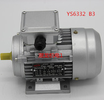 YS6332 Horizontal Motor Motor Motor Aluminum Shell Micro Motor 370W 380V 2800 rpm Axis 11