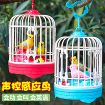 Bird cage toy with bird child bird electric shaking sound singing and dancing girl 6 baby 4 baby boy 1 year old 2-3