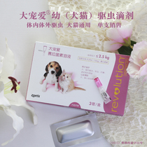 American Great Favorite Cat Puppies Insect Repellent in in vitro Insect Repellent to Flea Insect Repellent Single