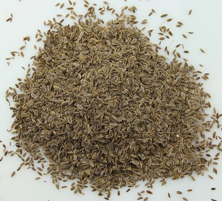 香料大全 千里香 莳萝籽 川菜火锅麻辣烫佐料 调味品50g 可打粉