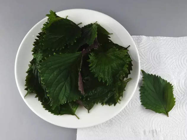 大蒜20瓣 新鲜紫苏叶可以用紫苏叶干代替,紫苏叶干泡水10分钟滤干后按图片