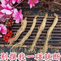 Jilin Changbai Mountain Ginseng Raw sun ginseng White ginseng garden ginseng dried ginseng can be powdered for 8 years independent packaging