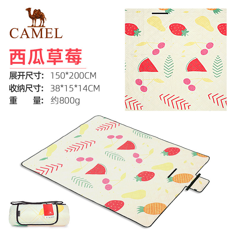 camel outdoor picnic mat 2020 new home multi-person cushion camping outing travel mat picnic tent mat