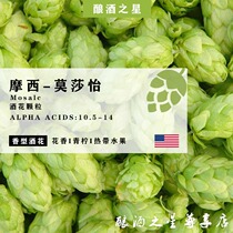 Moshe Beer Flowers Mosaic Mosaic Bitter and Youbeer Flower Mossa Mossy Mossy Swine Flower