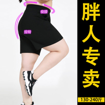 New summer fat mm four - sided elastic shorts four - digit shorts 200 large - yard female high waist hot pants increased